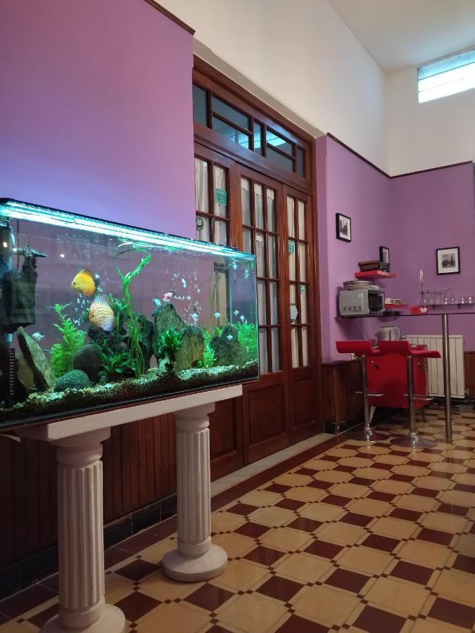 Cane B&B Montevideo Buitenkant foto
